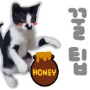 고양이 놀이터 이미지