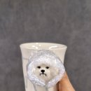 엘림전자 | 엘림하우스 예쁜머그컵, LOFT 인기 연말선물템 후기