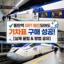 입석역 | 동탄역 SRT 매진일 때 현장구매로 입석예약 100% 성공후기