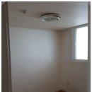 삼진동산 이미지