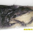 고초골낚시터 이미지