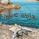 기사문항(등대) 화장실 | 양양 하조대 스노쿨링 하조대 전망대 주차 샤워장 근처 맛집