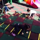 유아 체육 교실 이미지