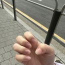네일리정