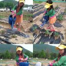 지송농장 이미지