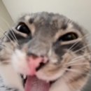 월경 | 월경컵 루나컵 내돈내산 후기