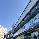 거북이횟집 | 묵호 갔는데 여기 안갔으면 다시 가셈 " 거북이 횟집 곰치국 " 후기