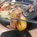 5873 | 경성대 고기집 • 막본가 • 대연동 막창 가성비맛집 • 경성대 맛집