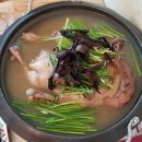 호수정감 이미지