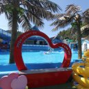 강릉수영장 이미지