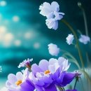 유람 이미지