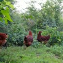 원스농장 이미지