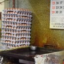 봉천동진순자김밥 Daum카페