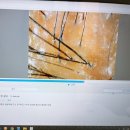 화이트베딩도봉 | [쌍문역두피/숲칼프쌍문역점] 탈모 집중케어 두피스케일링 후기