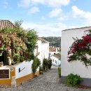 오비도스 이미지