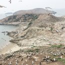 육산 이미지