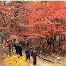 여의서로1길 이미지