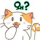 삼층고양이 이미지