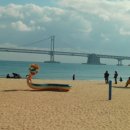 푸드르르 이미지