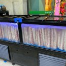 맛과멋을고기에담다 이미지