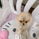 천호동물병원 이미지