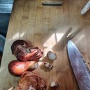 산지송이 | 황룡참송이 참송이버섯 산지직송으로 받아본 송이버섯요리 후기