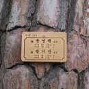 수림장 - 강릉시 강릉대로269번길 1-3 | 수림장