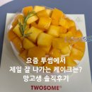 생과일케이크, 투썸플레이스 망고생 케이크 솔직후기