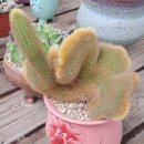 철하농장 이미지