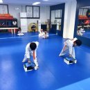 황금발태권도 이미지