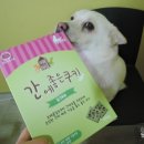 동현24시동물병원 이미지