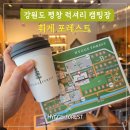 럭셔리상회 | 강원도 평창 아이와 숲속 럭셔리 캠핑장 휘게 포레스트 우중캠 후기