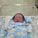 우리집 미용사(여성) | [창원모란여성병원] 제왕절개 6박 7일 특실 입원 후기