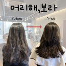 영종도 하늘도시미용실 추천 / 머리해보라 / 영종도미용실