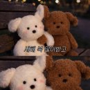 아임인케이크