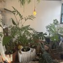 눈뜨랑 | 마포 브런치 맛집🥐 뜨랑블랑 분위기까지 완벽했던 곳