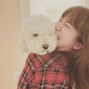 심바스튜디오 이미지