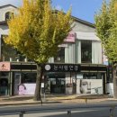 눈사랑안경 위드렌즈 경남창원점에서 위드렌즈 뉴에버 먼슬리 구매 후기