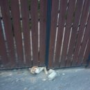 옥천호텔 이미지