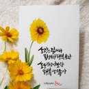 수채캘리그라피 이미지