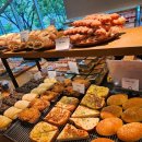 중방마을회관 | 생활의달인 창원 쪽파베이글, 호밀샤워도우 맛집으로 유명한 곳은?