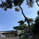 치유스테이 | 서울 근교 템플스테이 회암사 싱잉볼 체험 내돈내산 후기