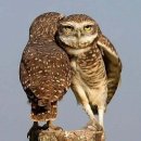 소근소근 이미지