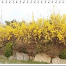 감자바우민박 이미지