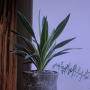 유카라이프 이미지