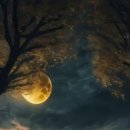 달빛풍경 이미지