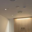 리온 메디 이미지