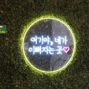 버블독스 이미지