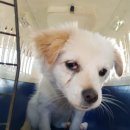 천변좌로 이미지