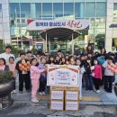 마산중앙초등학교 뉴스경남